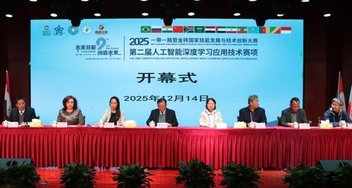 技能交融 創新引領——2025一帶一路暨金磚國家技能發展與技術創新大賽在桐城師專舉辦，技術服務賦能未來